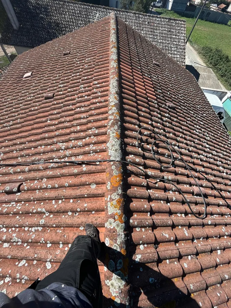 Toiture en tuiles avant démoussage, lichens sur le faîtage