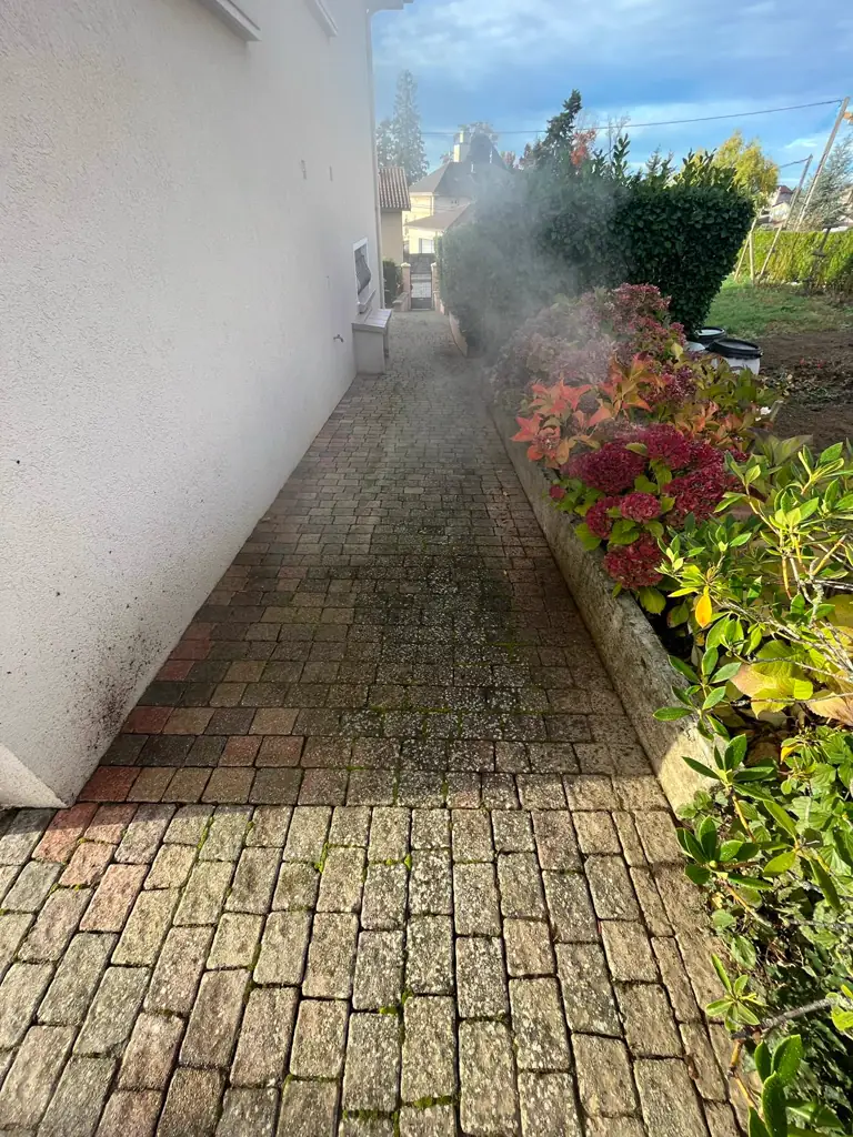 Nettoyage d'une allée pavée au pied d'une façade